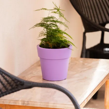 Appartamento Harmony House